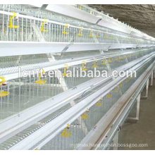 automatic broiler poultry farm equipments